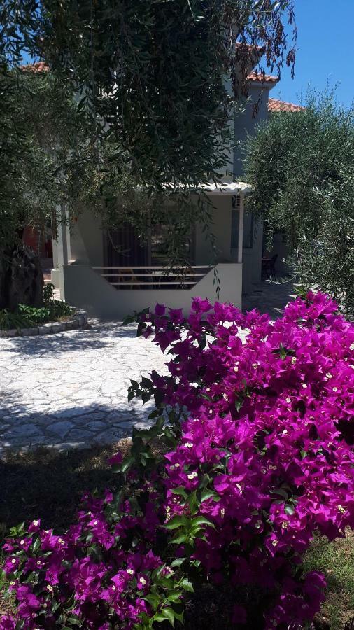 Sivota Apartments Parthenia Exterior foto
